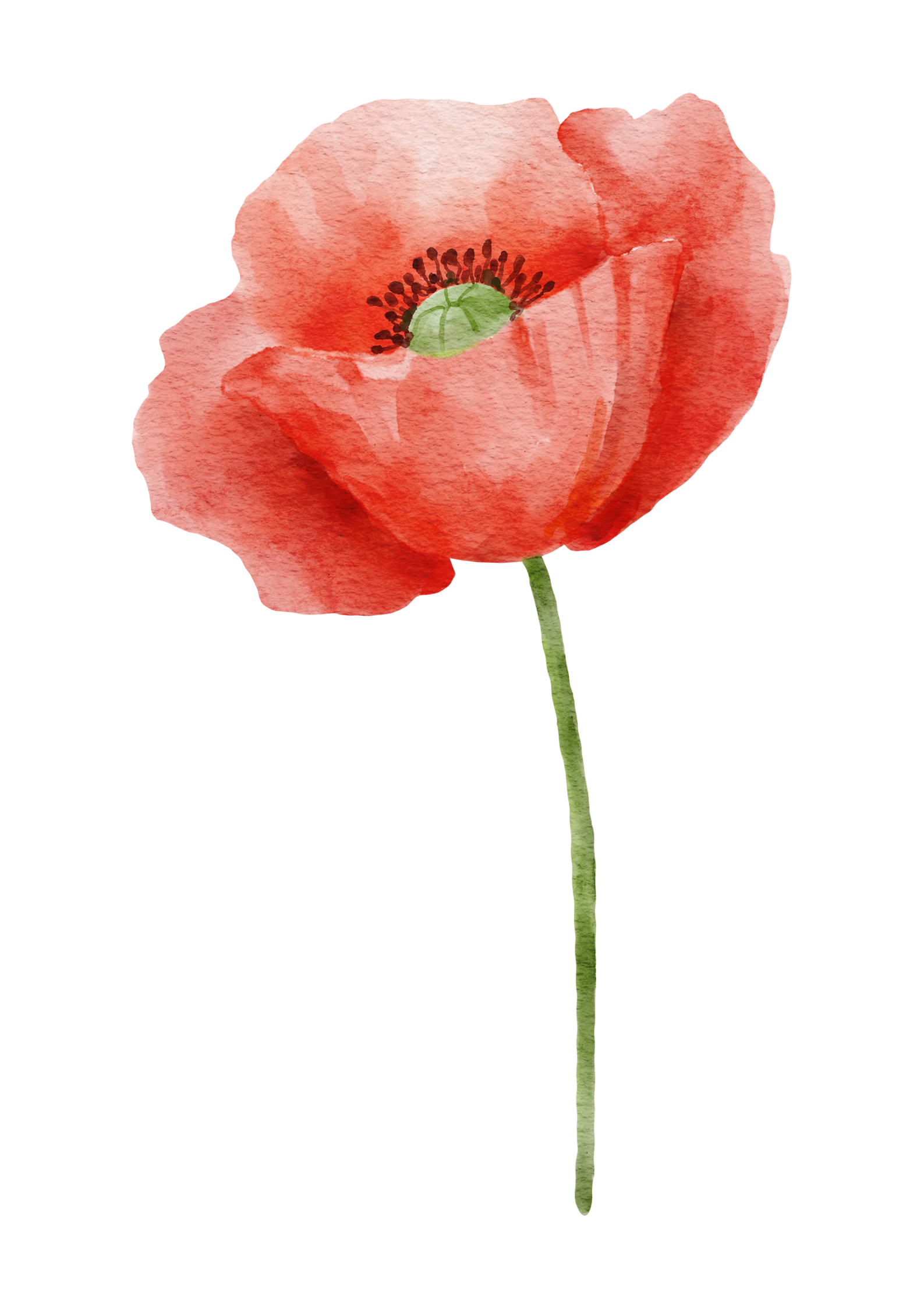 'We will remember them'
